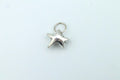 Irregular Star Charm